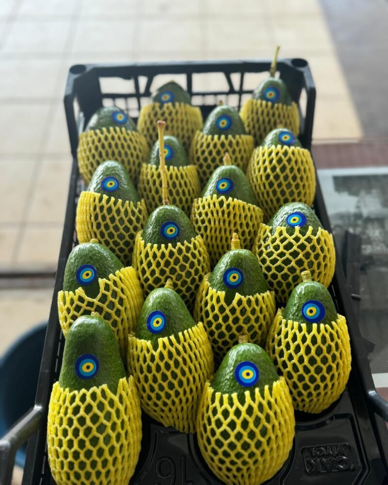 Avokado Meyve Koruma Filesi - Görsel 4