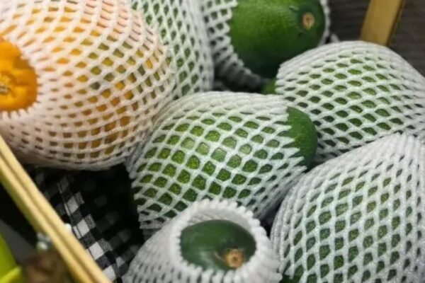 dalgic-ambalaj-26 dalgic-ambalaj-26