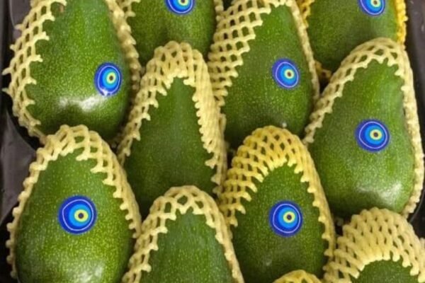 dalgic-ambalaj-7 dalgic-ambalaj-7