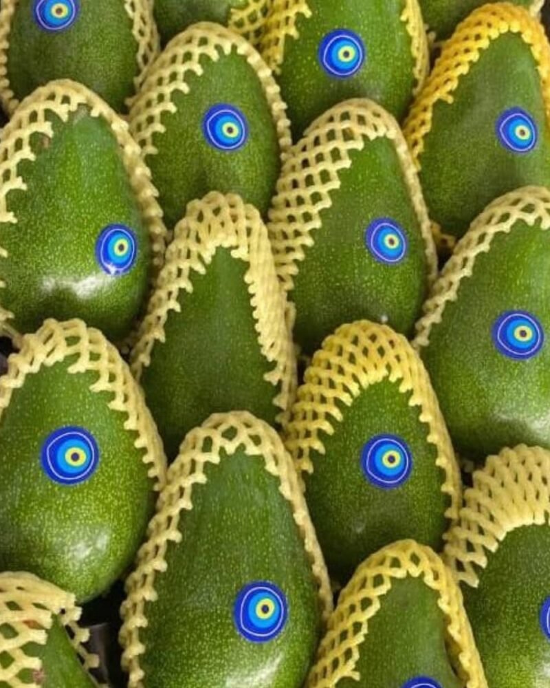 Avokado Meyve Koruma Filesi - Görsel 2